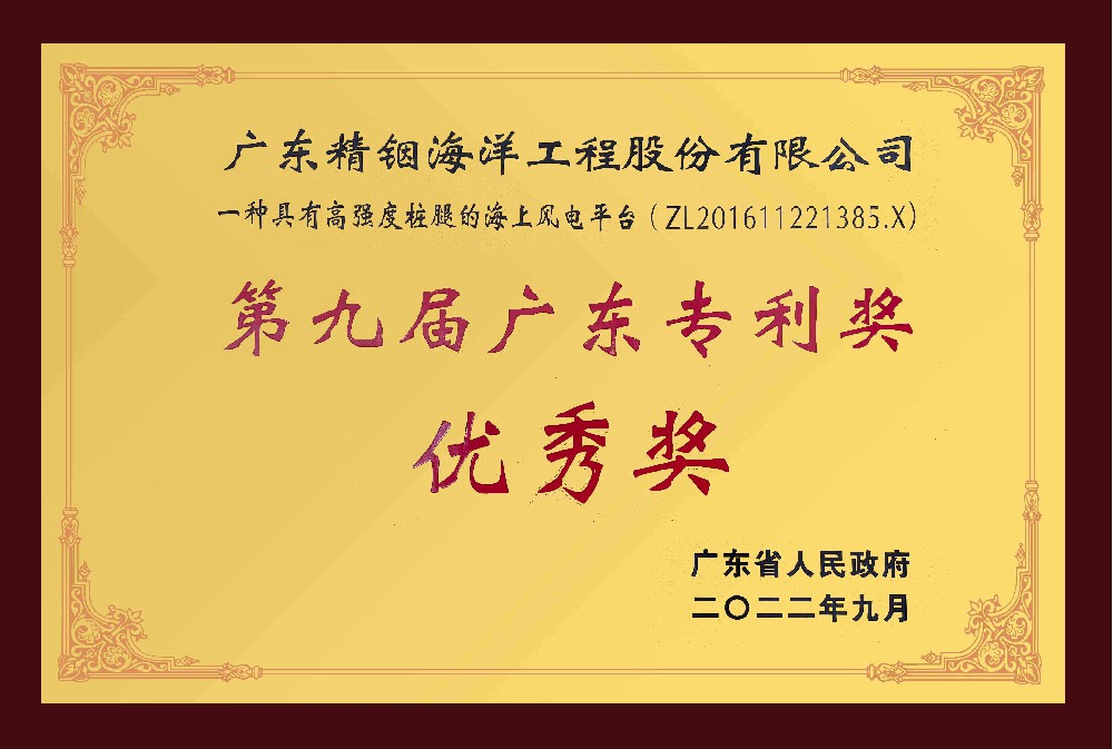 第九届广东专利优秀奖